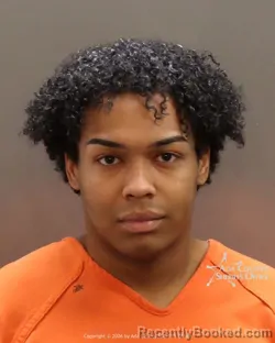 Mugshot of Marcus Noriega knight