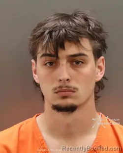 Mugshot of Joseph Shevchuk booked in Ada County, Idaho on July 7, 2026
