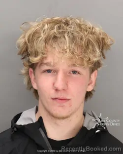 Mugshot of Kolbee Jaye Cheek