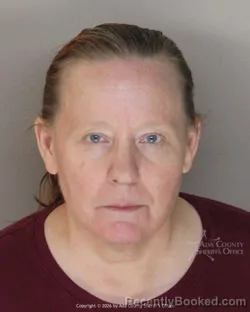 Mugshot of Lisa Renee Caudill booked in Ada County, Idaho on October 8, 2026