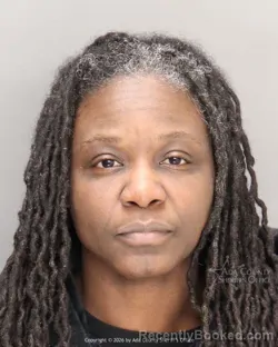 Mugshot of Tawana Yc Lee