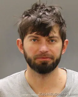 Mugshot of Vasyl Ovych Dmyrtyshyn