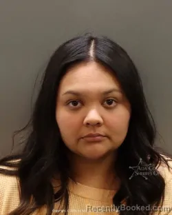 Mugshot of Gabriela Torres fernandez