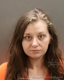 Booking photo from Ada County, Idaho