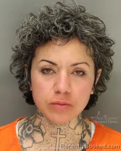 Mugshot of Stephanie Nicole Flynn