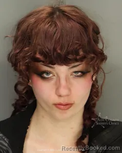 Mugshot of Lillian Walker Elgart booked in Ada County, Idaho on March 17, 2026