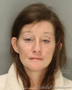 Mugshot of Shenae Sophronia Perkins booked in Ada County, Idaho on March 19, 2026