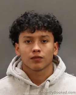 Mugshot of Dennis Perez booked in Ada County, Idaho on March 25, 2026