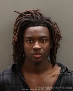 Mugshot of Machris Numbi booked in Ada County, Idaho on March 28, 2026