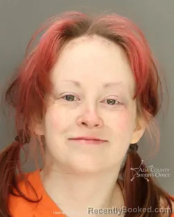 Mugshot of Katherine Rose Satterlee booked in Ada County, Idaho on April 2, 2026