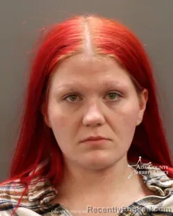 Mugshot of Halee Marie Wilson booked in Ada County, Idaho on April 26, 2026