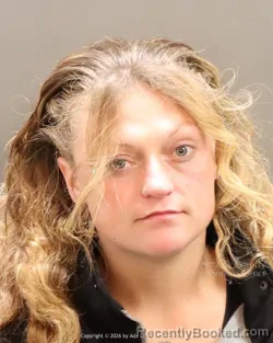 Mugshot of Larisa Louise Mestas booked in Ada County, Idaho on April 27, 2026