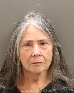 Mugshot of Patriciaann Theresa Collier booked in Ada County, Idaho on May 9, 2026