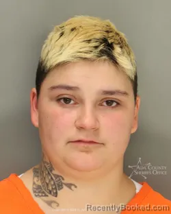 Mugshot of Krystalyn Palmer booked in Ada County, Idaho on May 17, 2026