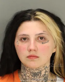 Mugshot of Tryniti Jade Nee booked in Ada County, Idaho on June 14, 2026