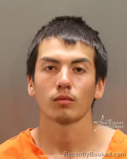 Mugshot of Lucio Albor booked in Ada County, Idaho on June 25, 2026