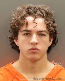Mugshot of Hudson Cole Ramsey booked in Ada County, Idaho on July 2, 2026