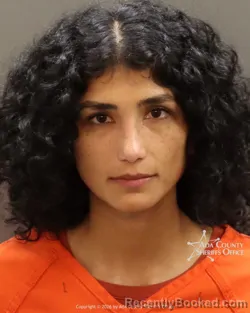 Mugshot of Gabriela Mendoza booked in Ada County, Idaho on July 3, 2026