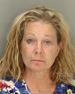 Mugshot of Jessica Dawn Weber booked in Ada County, Idaho on July 4, 2026