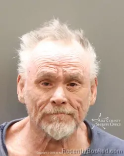 Mugshot of David Walter Silla booked in Ada County, Idaho on August 15, 2026