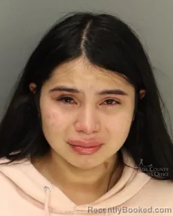 Mugshot of Yesenia Ymileth Perez booked in Ada County, Idaho on August 11, 2026