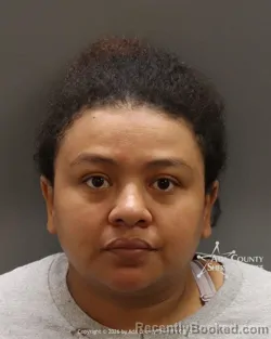 Mugshot of Beatriz Garcia Campo booked in Ada County, Idaho on September 4, 2026
