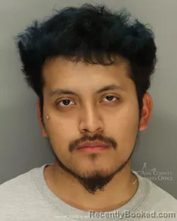 Mugshot of Leandro Tovar Tellez booked in Ada County, Idaho on October 20, 2026