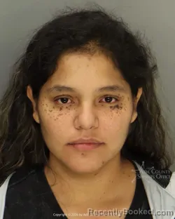 Mugshot of Anagabriel Cordova booked in Ada County, Idaho on October 24, 2026
