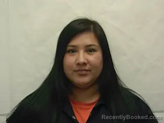 Mugshot of JAYCENE SKYE HOWARD booked in Bannock County, Idaho on March 20, 2026