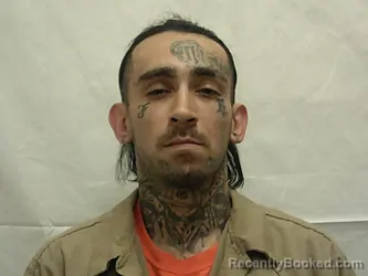 Mugshot of NELSON DAVID OBRIEN booked in Bannock County, Idaho on April 2, 2026