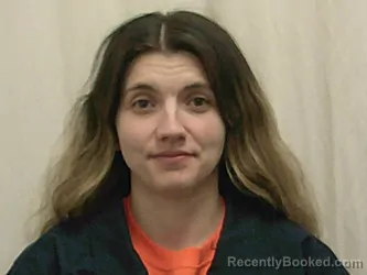 Mugshot of ANGELA NICHOLLE HEGGENBERGER