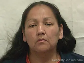 Mugshot of CORINA MAE BIG MAN booked in Bannock County, Idaho on March 23, 2026