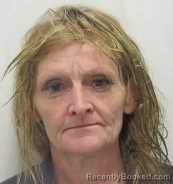 Mugshot of Kristi Ann Palmer
