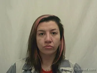 Booking photo from Bannock County, Idaho