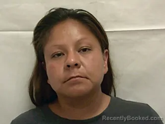 Mugshot of KRYSTAL KAY DAMON booked in Bannock County, Idaho on March 28, 2026