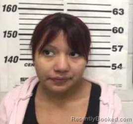 Mugshot of DALYLAH GRACIELA VILLASENOR