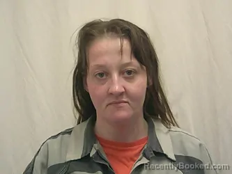 Mugshot of ANGEL MAE BEESLEY