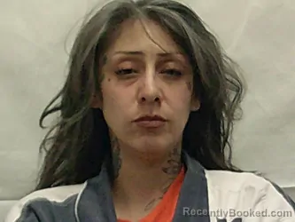 Mugshot of JORDAN REBECCA SILK booked in Bannock County, Idaho on March 31, 2026