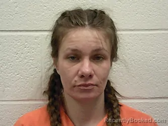 Mugshot of CHEYANNA LYNN PITMAN booked in Bannock County, Idaho on May 14, 2026