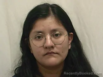 Mugshot of ASHLEY NIETO