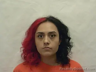 Mugshot of ALEXIS SARI ROSAS booked in Bannock County, Idaho on March 21, 2026