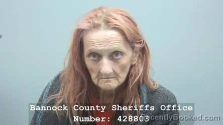 Mugshot of Cheryl Lee Smith booked in Bannock County, Idaho on August 18, 2026