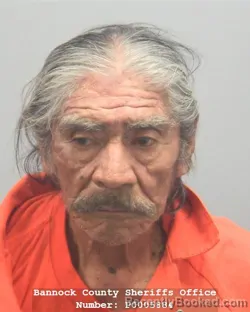 Mugshot of LEO LEE FISHER booked in Bannock County, Idaho on June 1, 2026