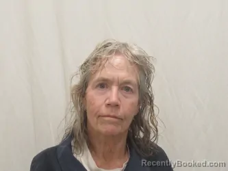 Mugshot of CATHY ANN BRYDON booked in Bannock County, Idaho on July 24, 2026