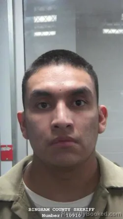 Mugshot of LEROY LEE DAMON