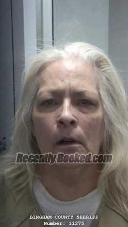 Mugshot of SALLY ANN DANA booked in Bingham County, Idaho on June 30, 2026