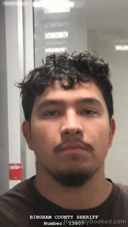 Booking photo from Bingham County, Idaho