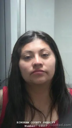 Mugshot of JODIE LIA LARAE CALLAHAN booked in Bingham County, Idaho on April 2, 2026