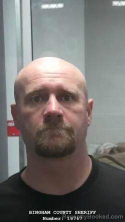 Mugshot of KELLY LYNN SHEPHERD