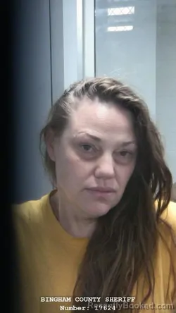 Mugshot of NICHOLE JEAN LINDSTROM